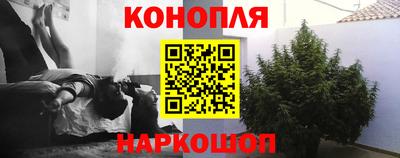 apvp Свободный