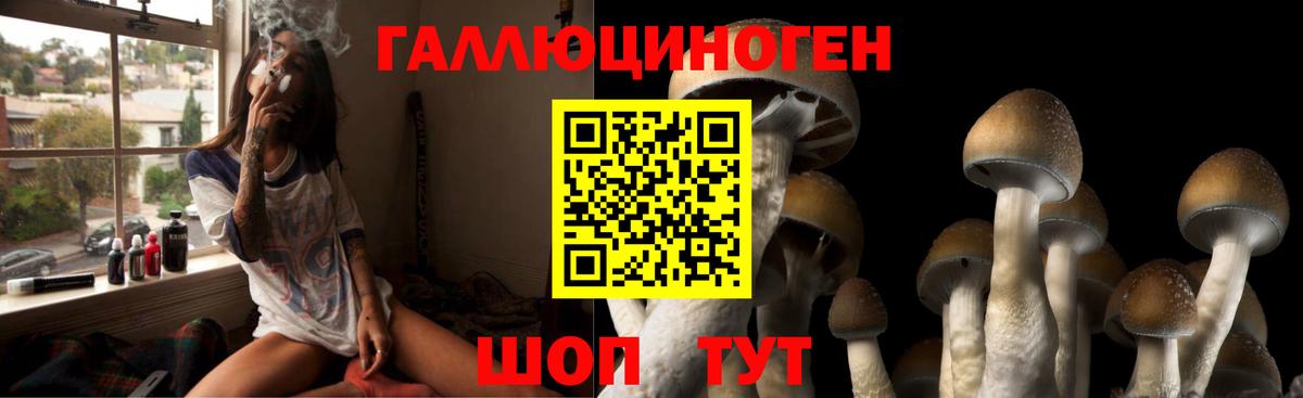 как найти закладки  Вход с VPN  Надым  Галлюциногенные грибы Psilocybine cubensis 